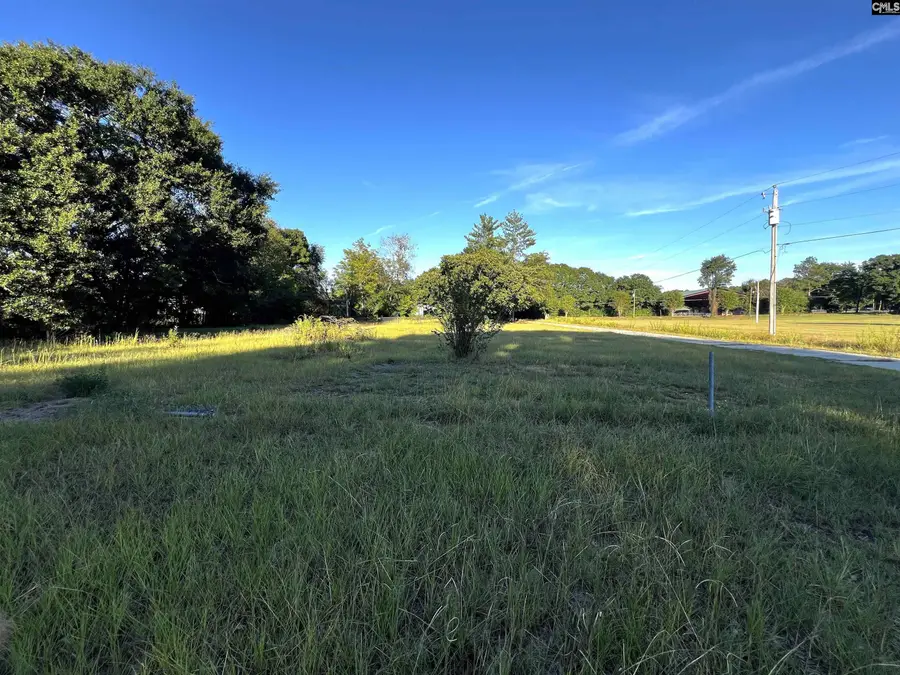 301 Blue Sky Drive, West Columbia, SC 29172 - #3