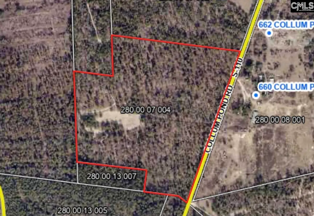 Collum Pond Road, Wagener, SC 29164 - #1