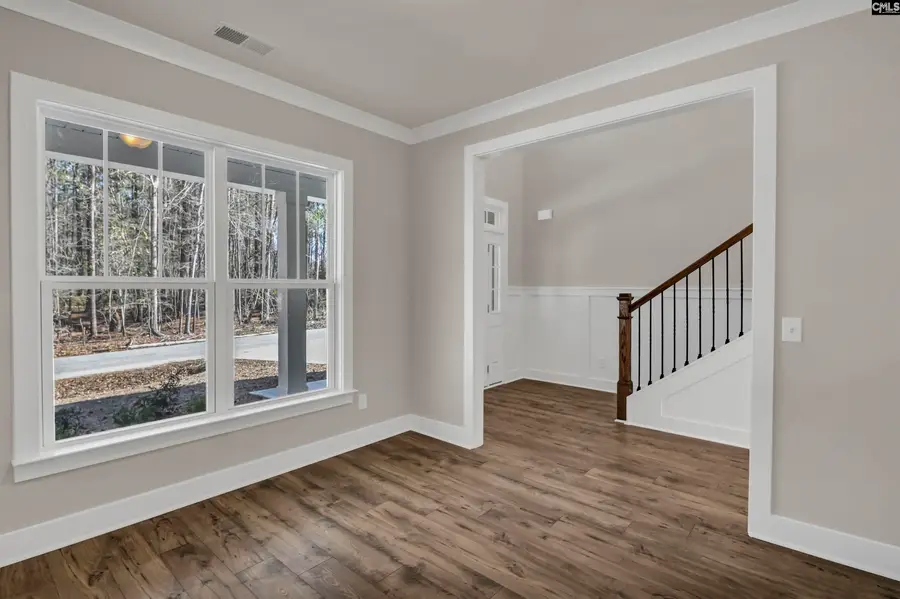 119 Greengarden Drive, Chapin, SC 29036 - #2