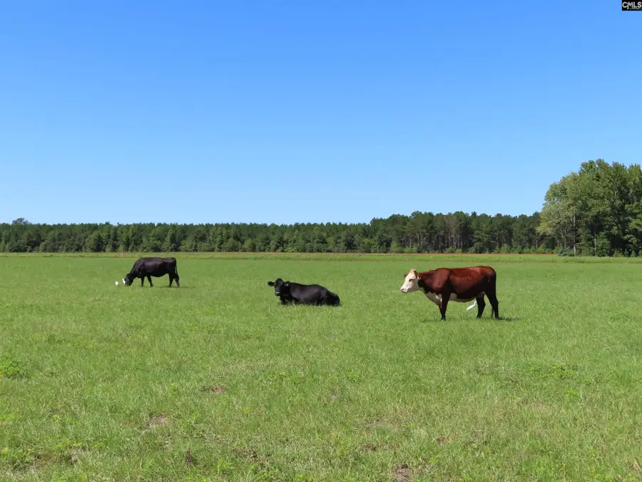 0 Tema Road, Hartsville, SC 29550 - #2