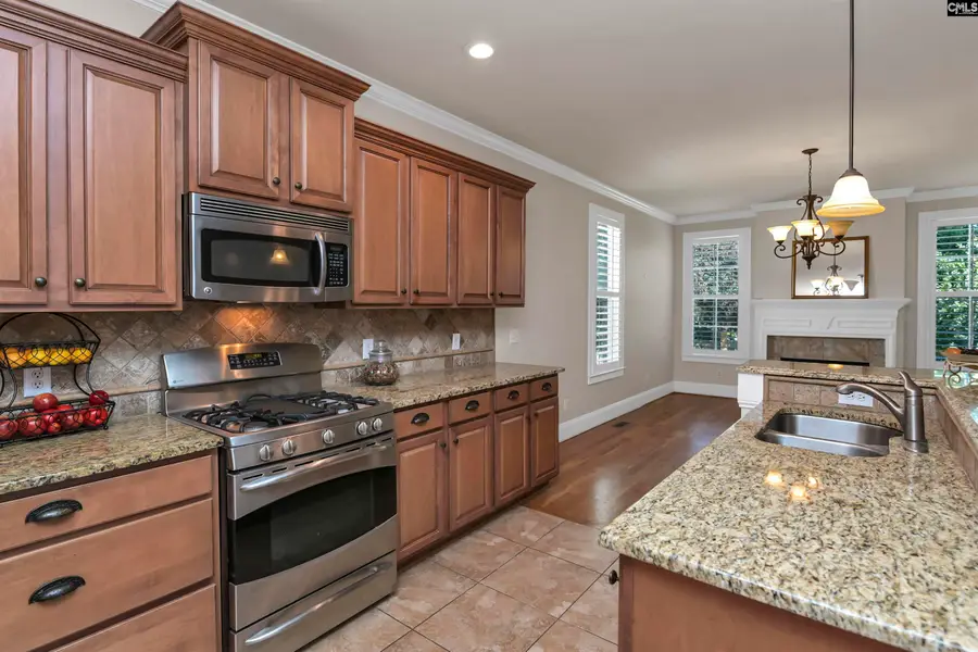 21 Palm Crescent Court, Blythewood, SC 29016 - #2