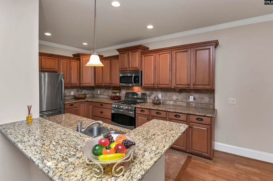 21 Palm Crescent Court, Blythewood, SC 29016 - #3