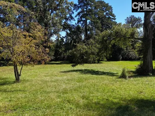 0 Wheeler Street, Newberry, SC 29108 - #2