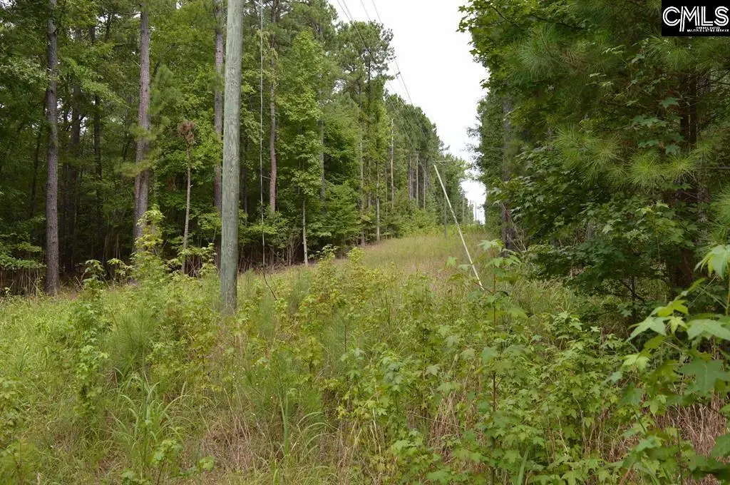 2087 Longtown Road, Ridgeway, SC 29078 - #1