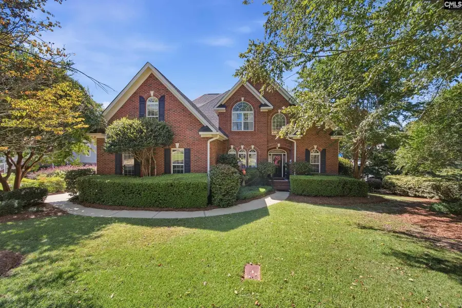 108 Water Links Drive, Chapin, SC 29036 - #3