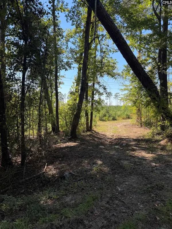681 Tract 1 Barfield Road, Elgin, SC 29045