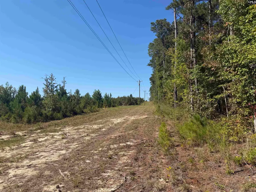 681 Tract 1 Barfield Road, Elgin, SC 29045 - #3