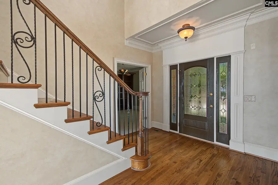 210 Lake Vista Drive, Chapin, SC 29036 - #3