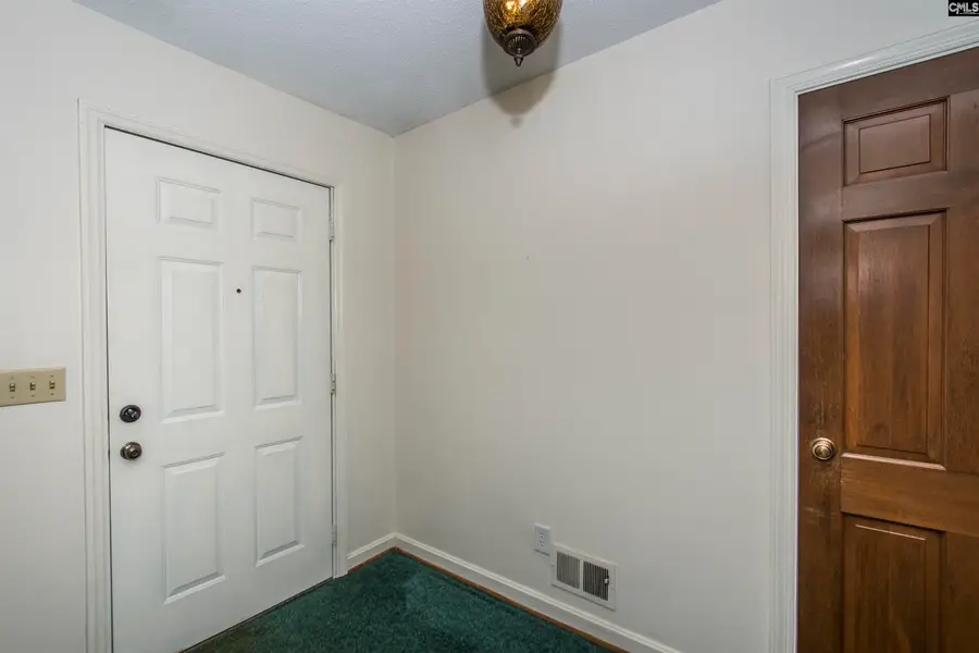 261 White Falls Drive, Columbia, SC 29212 - #3