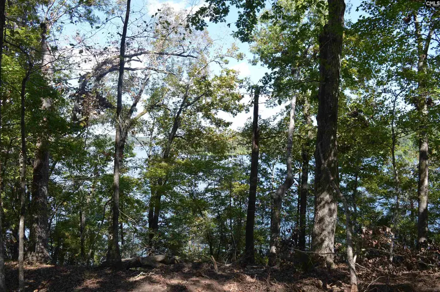 lot 25 Wateree Key Court, Winnsboro, SC 29180 - #3