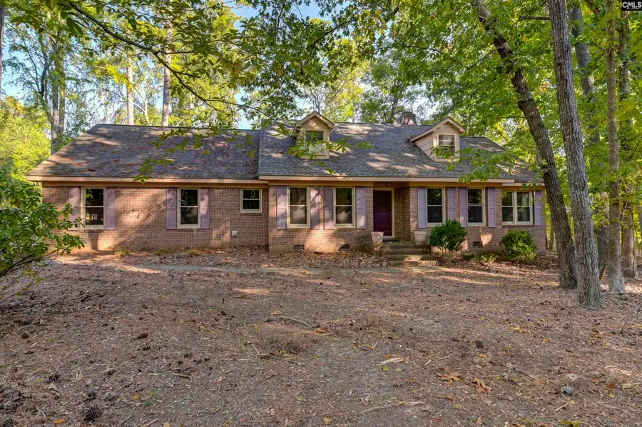 1004 Fieldstone Road, Chapin, SC 29036 - #2