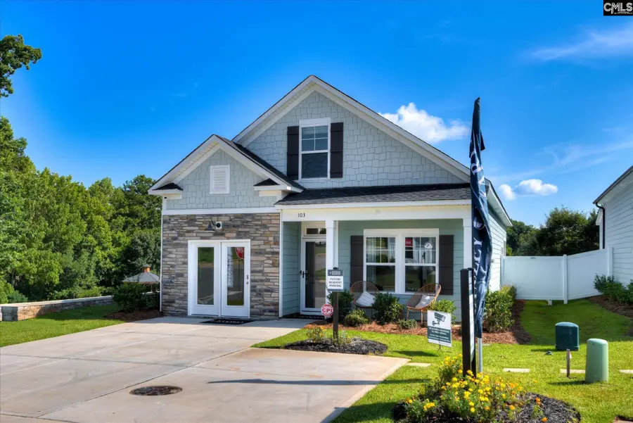 332 Conductor Lane, Irmo, SC 29063 - #2