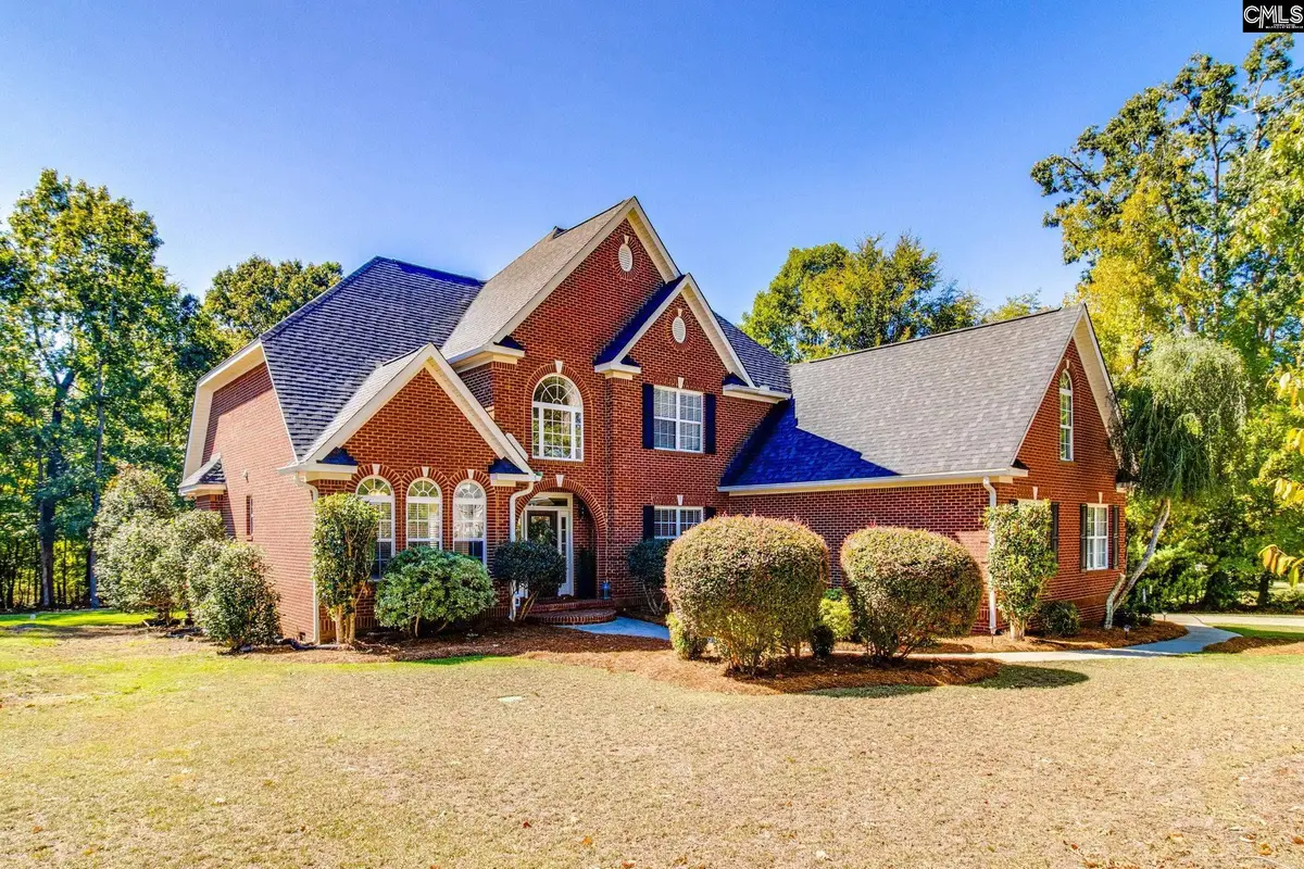 437 Caro Lane, Chapin, SC 29036 - #1