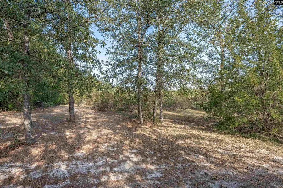 230 Mountain View Road, Batesburg, SC 29006 - #2