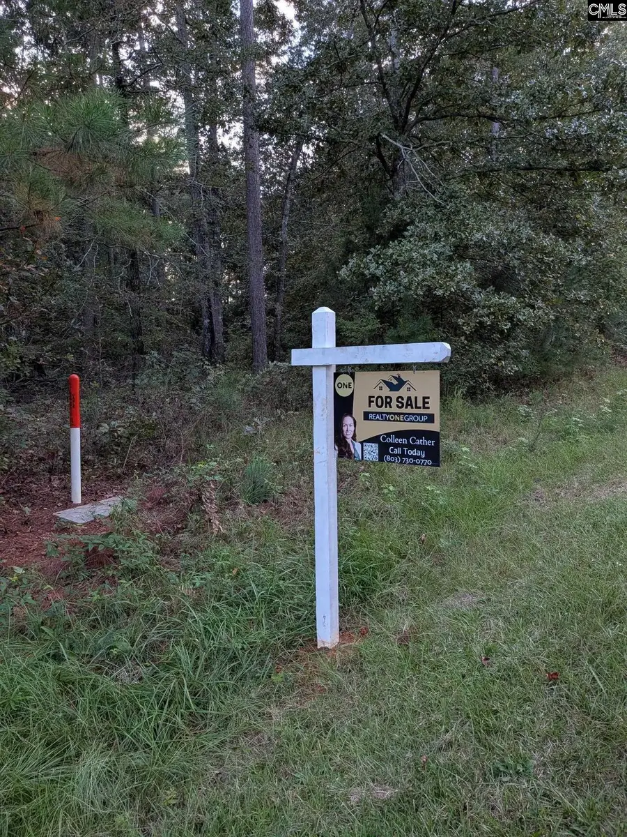 0 Persimmon Dr, Saluda, SC 29138 - #3
