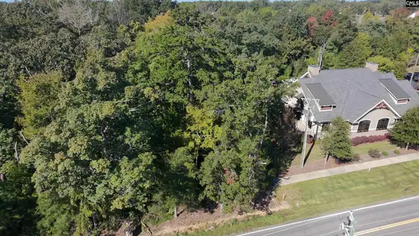 509 Lexington Avenue, Chapin, SC 29036