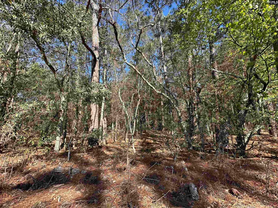 Lot 2 Mimosa Drive, Gaston, SC 29053 - #2