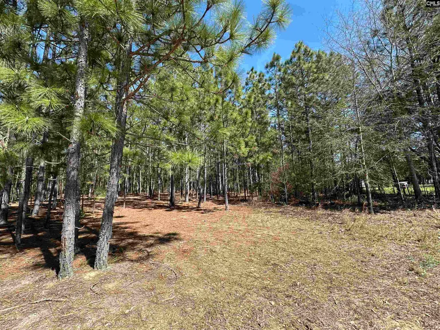 Lot 1 Mimosa Drive, Gaston, SC 29053 - #2