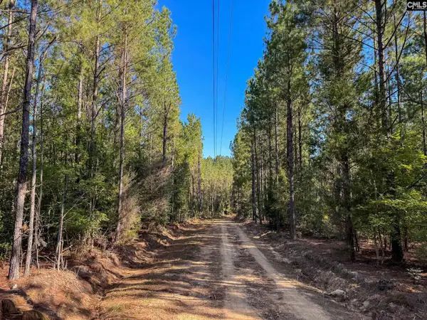 0 Lila Drive, Batesburg, SC 29006