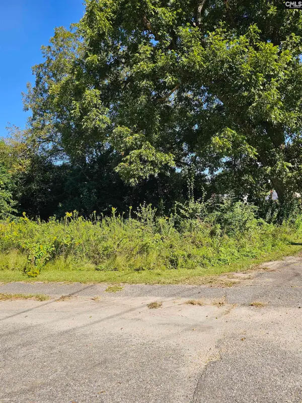 202 Harvin Avenue, Manning, SC 29102