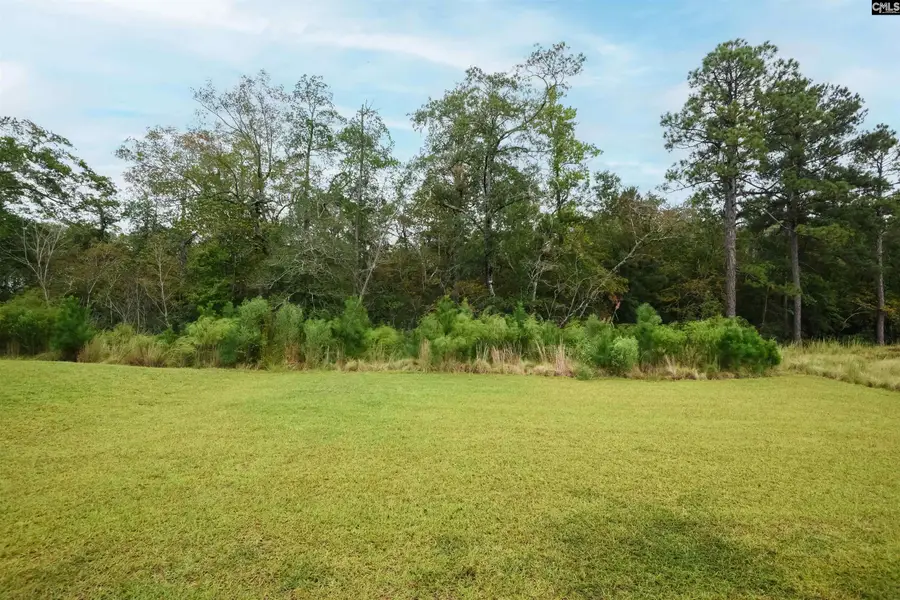 410 Pepperbush Lane, Lexington, SC 29072 - #2