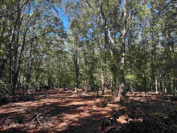 0 Swamp Rabbit Rd, Leesville, SC 29070
