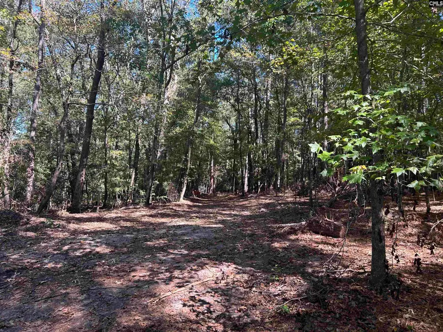 0 Swamp Rabbit Rd, Leesville, SC 29070 - #2