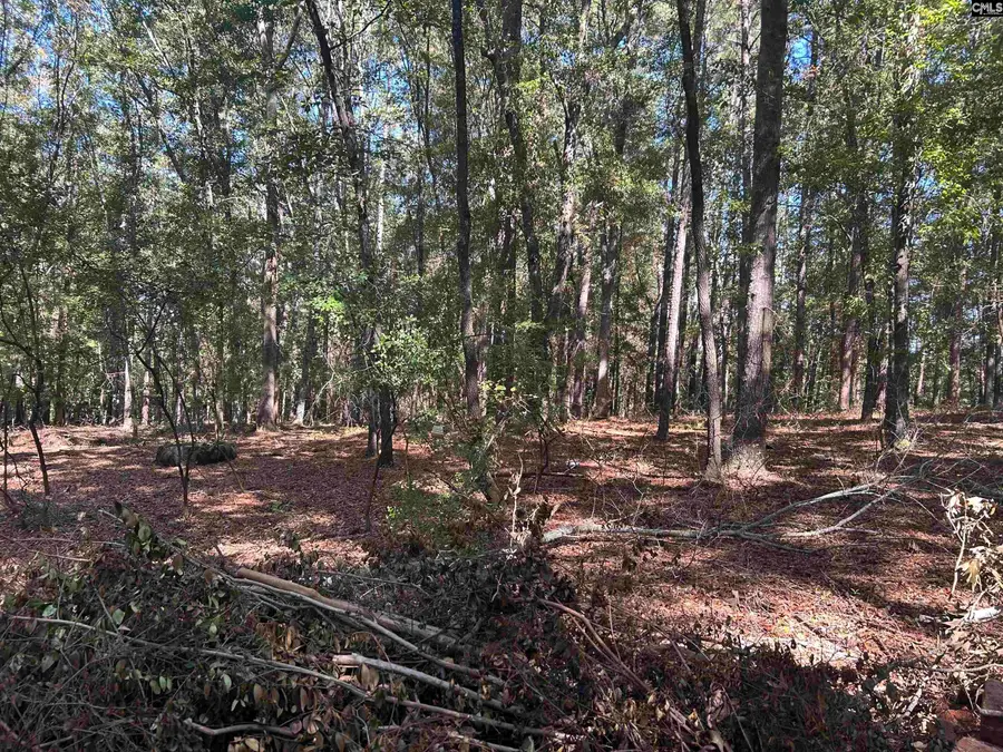 0 Swamp Rabbit Rd, Leesville, SC 29070 - #3