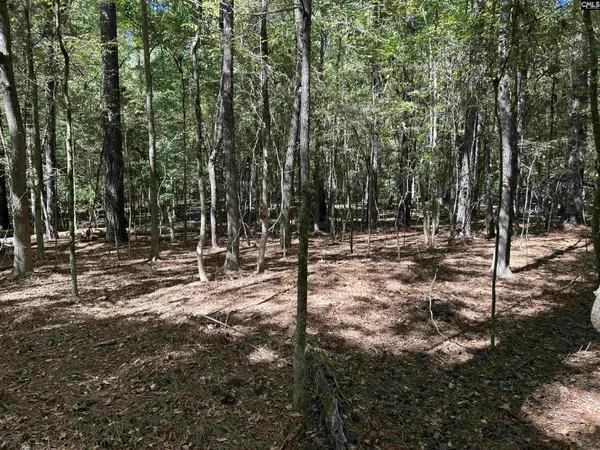 156 Indian Cove Road, Chapin, SC 29036