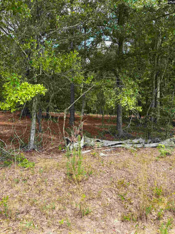 Lot A Warbonnet Road, Salley, SC 29137