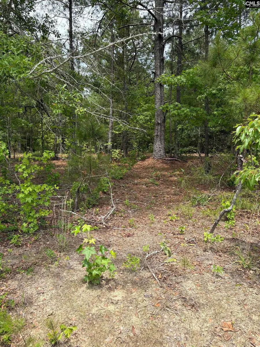 Lot B Warbonnet Road, Salley, SC 29137 - #2
