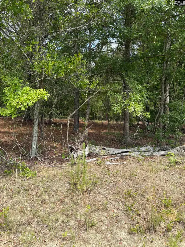 Lot C Warbonnet Road, Salley, SC 29137