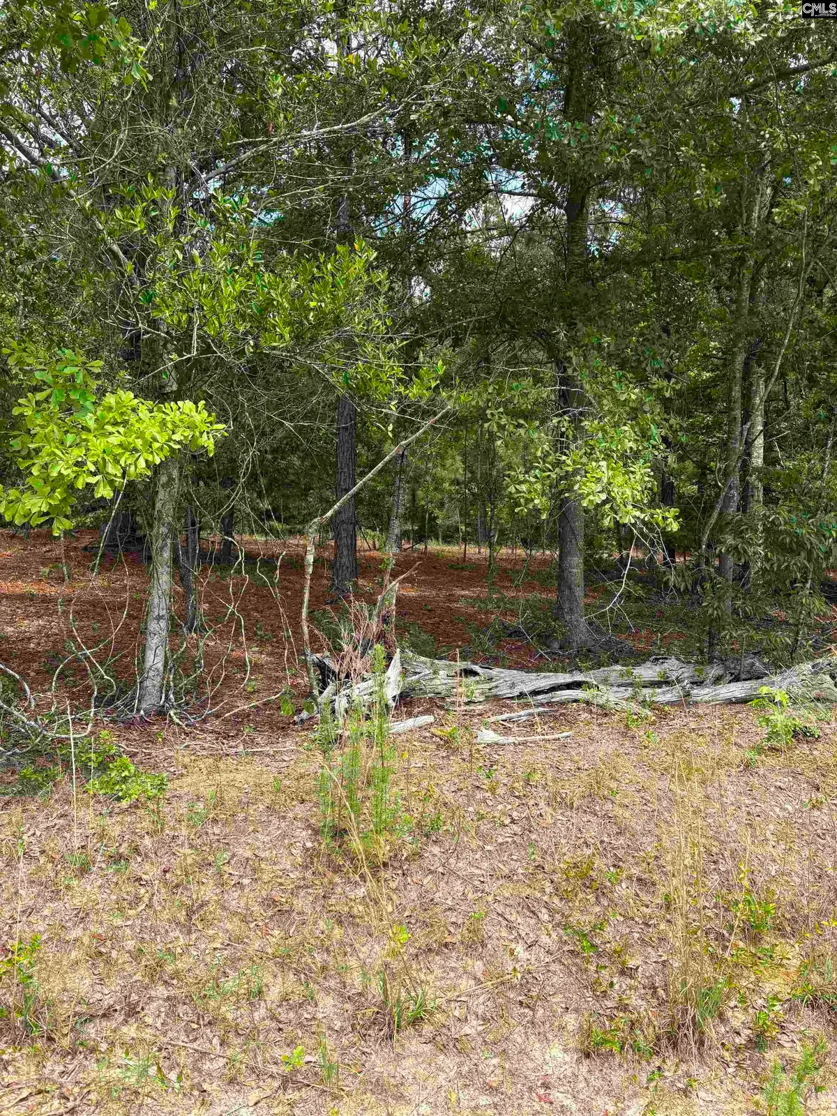 Lot D Warbonnet Road, Salley, SC 29137 - #1