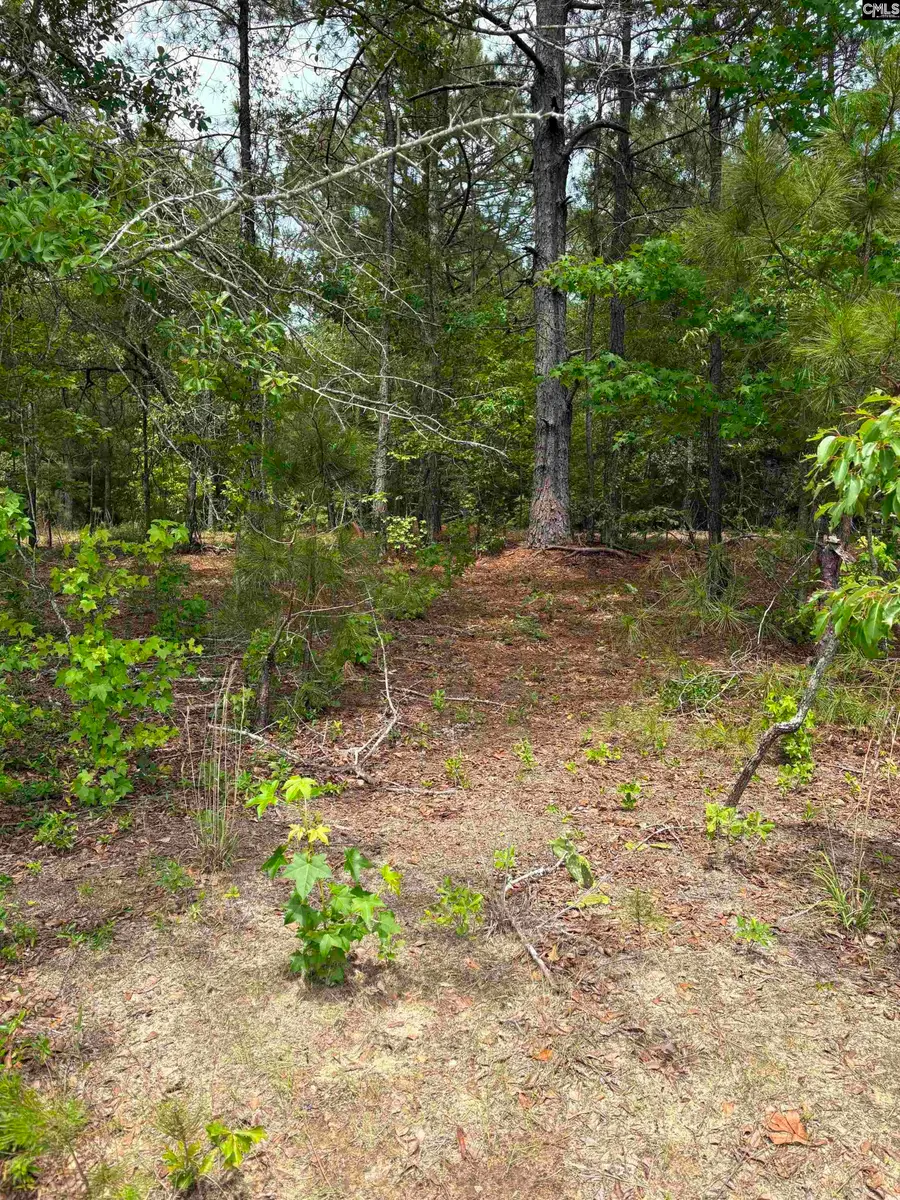 Lot E Warbonnet Road, Salley, SC 29137 - #2