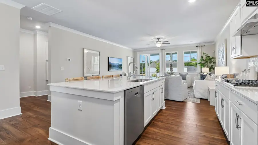 209 Sunny Stream Drive, Chapin, SC 29036 - #3