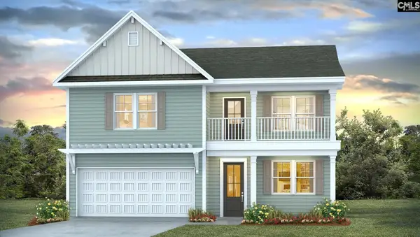 217 Sunny Stream Drive, Chapin, SC 29036