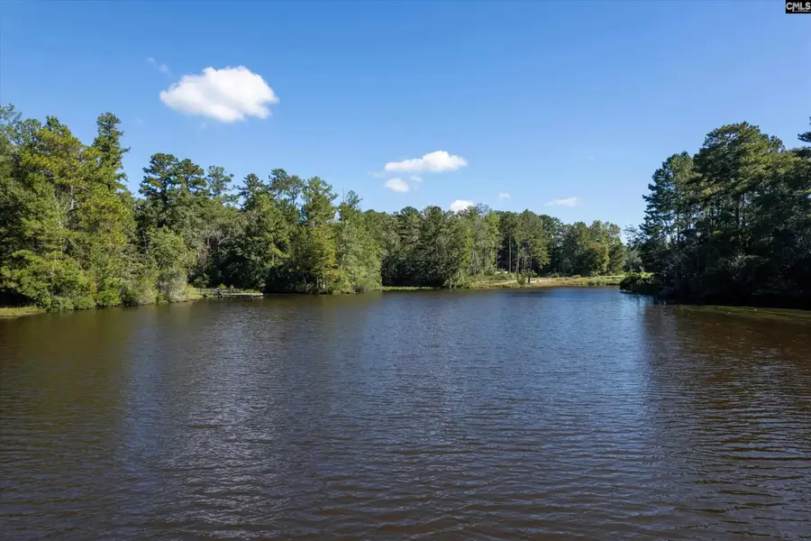 0000 Steele Road, West Columbia, SC 29170 - #2