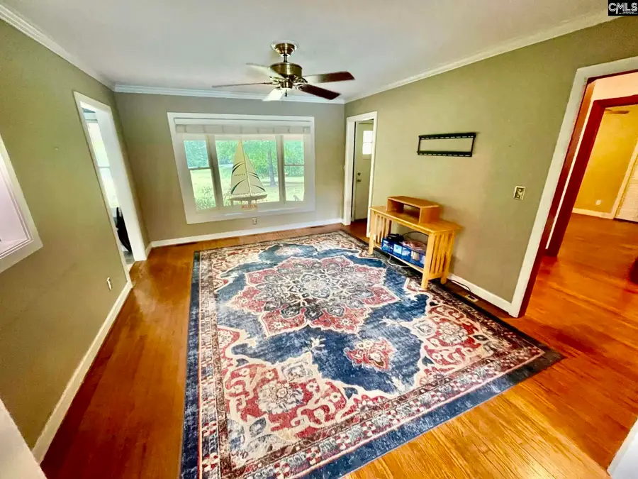 238 Joe Free Road, Chapin, SC 29036 - #3