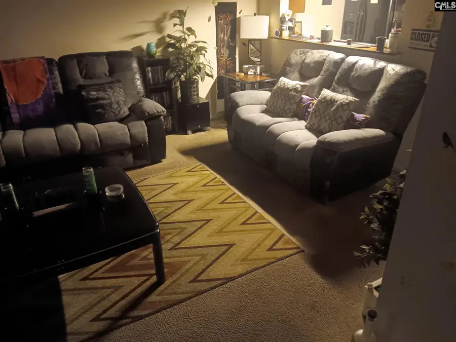 1320 Piney Grove Road #9D, Columbia, SC 29210 - #3