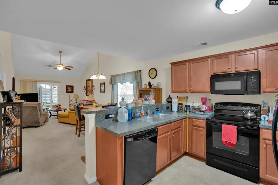 195 Regency Drive, Columbia, SC 29212 - #3