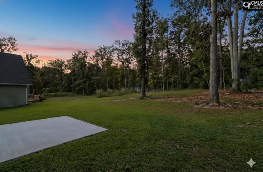 209 Lynch Lane, Chapin, SC 29036 - #2