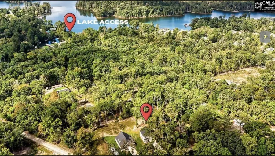 209 Lynch Lane, Chapin, SC 29036 - #3