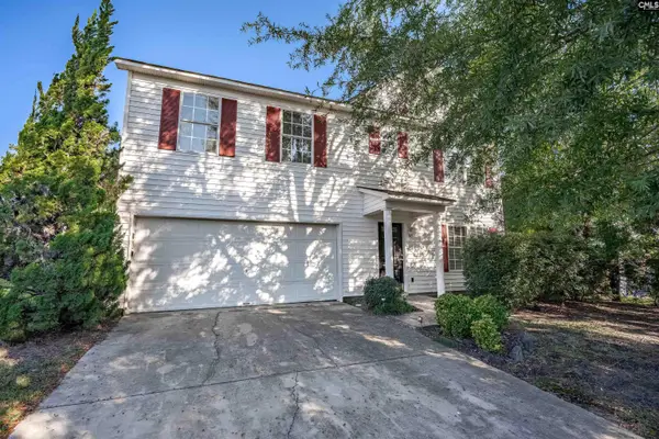 145 Wingspan Way, Chapin, SC 29036
