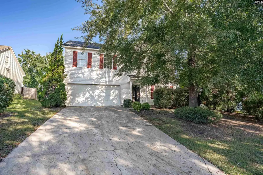 145 Wingspan Way, Chapin, SC 29036 - #2