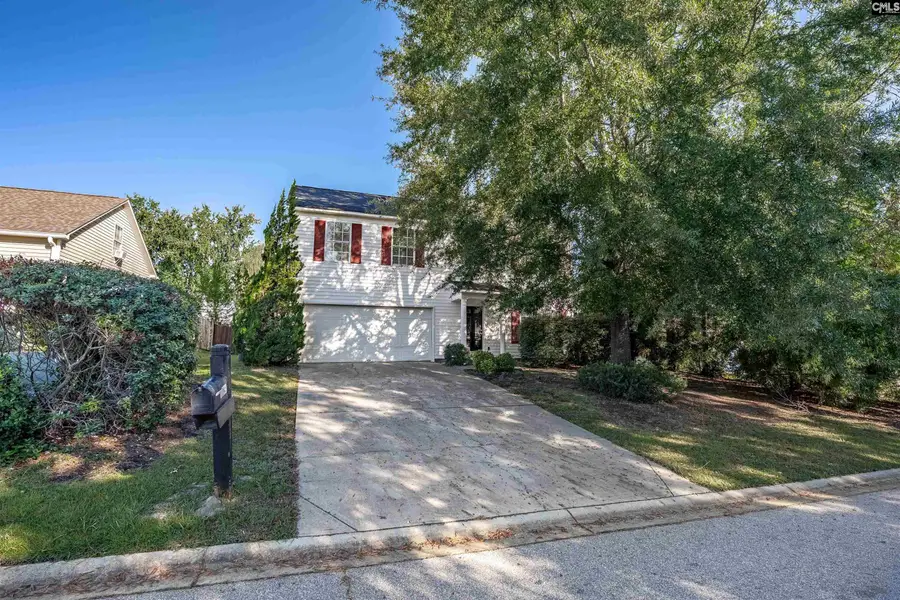 145 Wingspan Way, Chapin, SC 29036 - #3