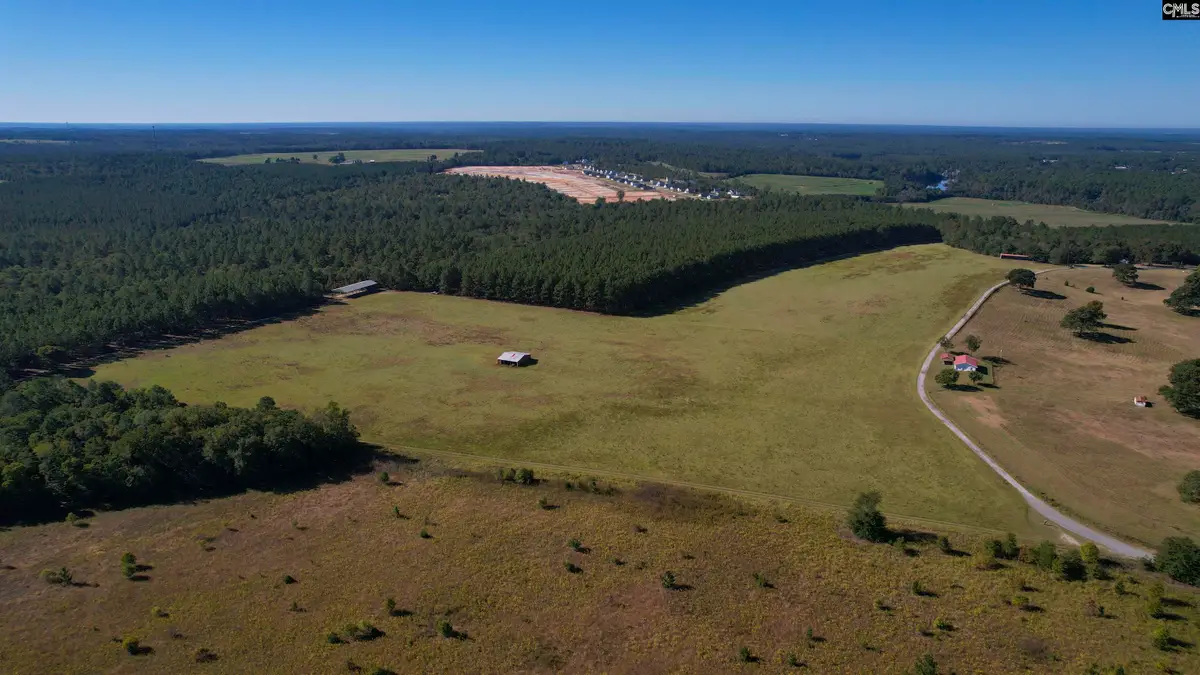 156 Big Sandy Road, Pelion, SC 29123 - #1