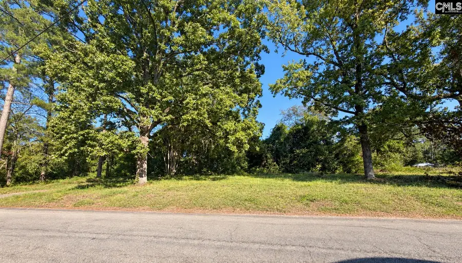 113 Duke Avenue, Columbia, SC 29203 - #2