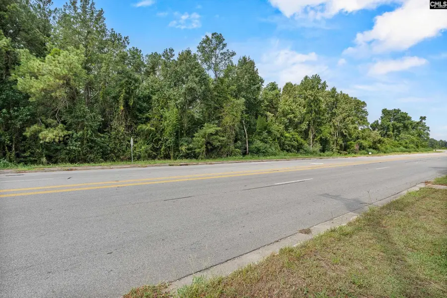 0 Charleston Highway, Orangeburg, SC 29115 - #2