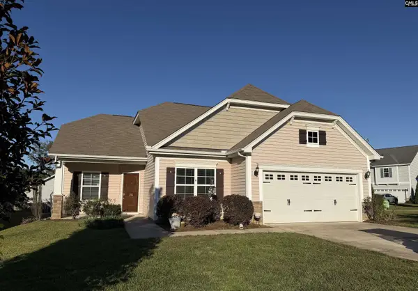 356 Massey Circle, Chapin, SC 29036