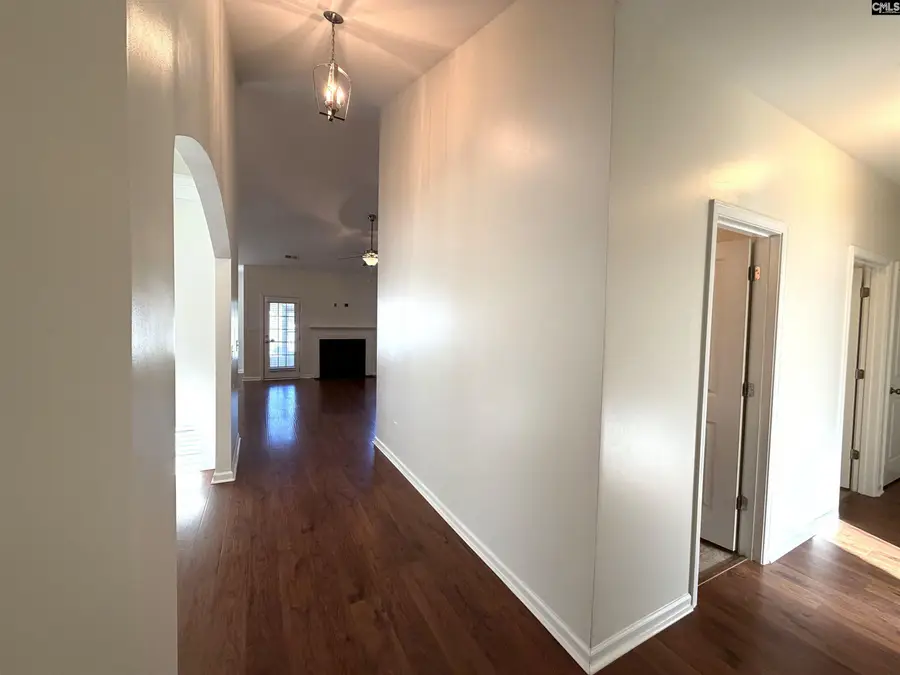 356 Massey Circle, Chapin, SC 29036 - #3